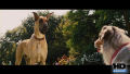 Test Blu-Ray : Marmaduke