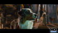 Test Blu-Ray : Marmaduke