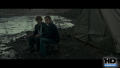Test Blu-Ray : Harry Potter et les Reliques de la Mort - 1ère Partie