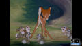 Test Blu-Ray : Bambi