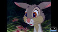 Test Blu-Ray : Bambi