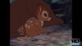 Test Blu-Ray : Bambi