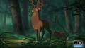 Test Blu-Ray : Bambi 2