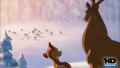 Test Blu-Ray : Bambi 2