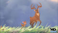 Test Blu-Ray : Bambi 2