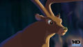 Test Blu-Ray : Bambi 2