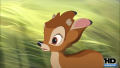 Test Blu-Ray : Bambi 2