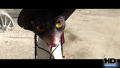 Test Blu-Ray : Rango