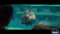 Test Blu-Ray : Piranha 3D