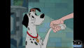 Test Blu-Ray : Les 101 Dalmatiens