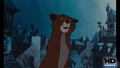 Test Blu-Ray : Les Aristochats