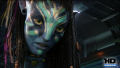 Test Blu-ray 3D : Avatar