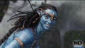 Test Blu-ray 3D : Avatar