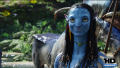 Test Blu-ray 3D : Avatar