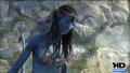 Test Blu-ray 3D : Avatar