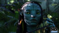 Test Blu-ray 3D : Avatar