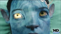 Test Blu-ray 3D : Avatar