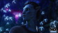 Test Blu-ray 3D : Avatar