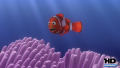 Test Blu-ray 3D + Blu-ray : Le Monde de Nemo