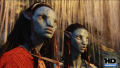 Test Blu-Ray : Avatar Edition Collector Version Longue