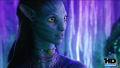 Test Blu-Ray : Avatar Edition Collector Version Longue