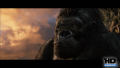 Test Blu-Ray : King Kong (2005)