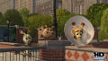 Test Blu-Ray : Madagascar 2