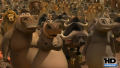 Test Blu-Ray : Madagascar 2