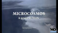 Test Blu-Ray : Microcosmos - Le Peuple de l'Herbe