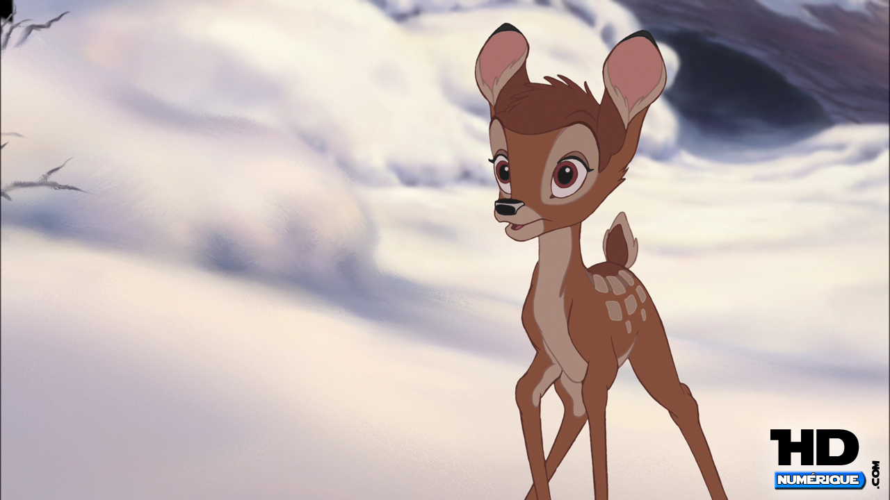 Bambi sage