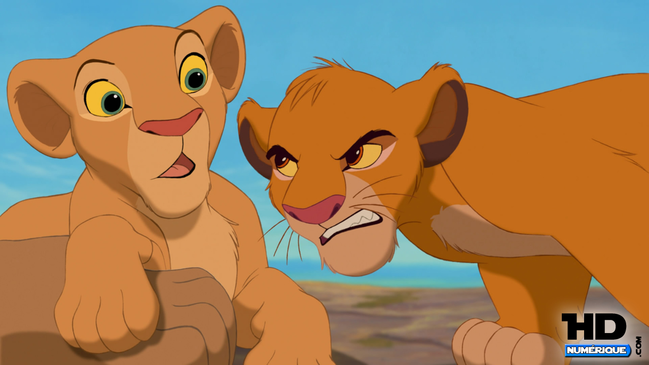 Critique & Test Blu-ray 2D/3D : Le Roi Lion - L'Histoire de la vie