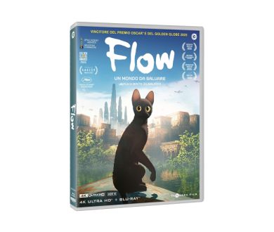 Test 4K Ultra HD Blu-ray : Flow, le chat qui n'avait plus peur de l'eau (2024)