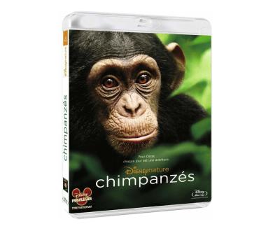 Test Blu-Ray : Chimpanzés